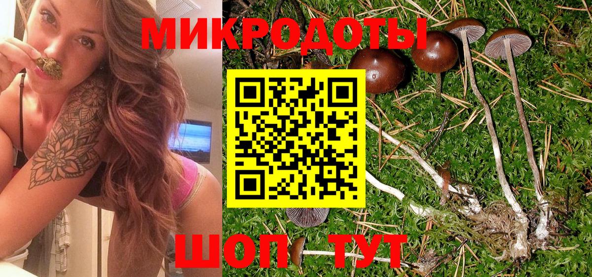 Галлюциногенные грибы Psilocybe  Вход с VPN  цены   Серов 