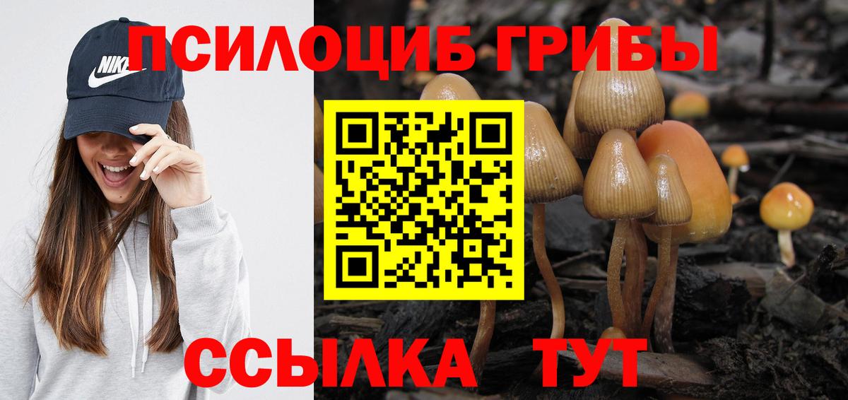 Галлюциногенные грибы MAGIC MUSHROOMS Серов